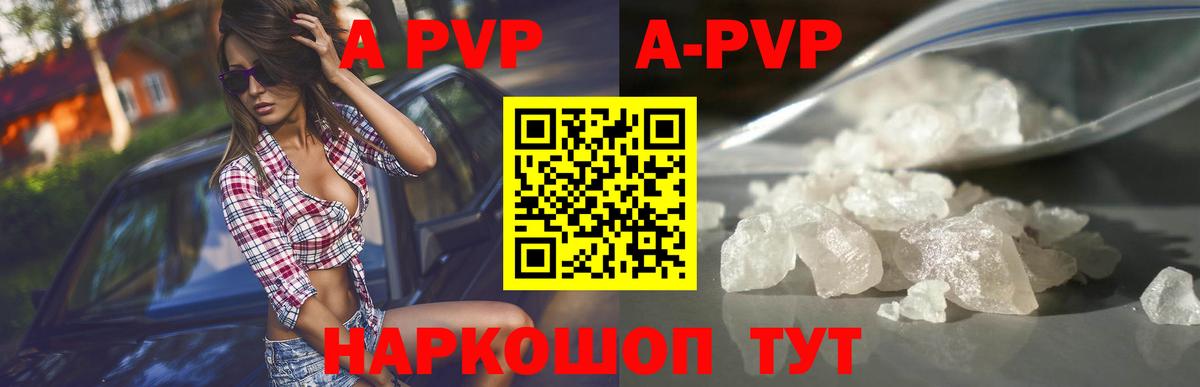 Alfa_PVP СК КРИС Нарткала