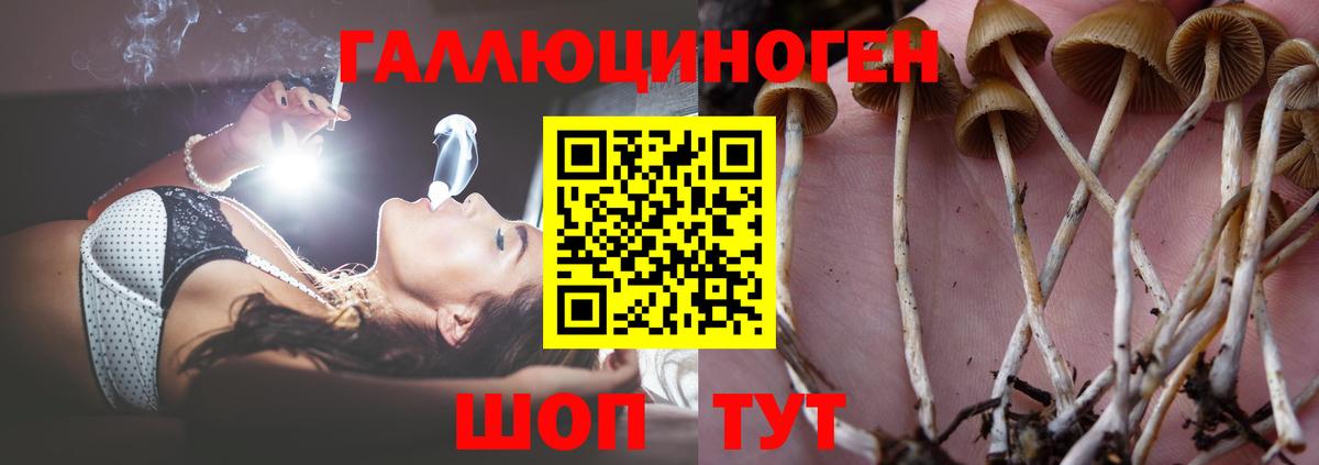 Псилоцибиновые грибы Magic Shrooms Нарткала